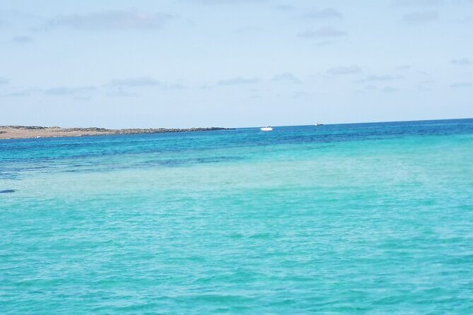 Excursion to Asinara Stintino La Pelosa National Park - Stop 2: Cala Reale and the sea turtle recovery center