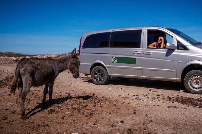 From Stintino: minivan tour of Asinara - Why Asinara Works as a Day Trip From Stintino