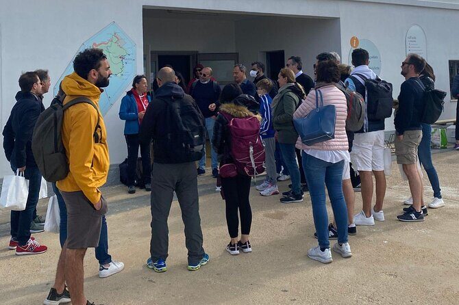 From Stintino: minivan tour of Asinara - Cala Reale: A Penal-Era Harbor With Savoy Connections