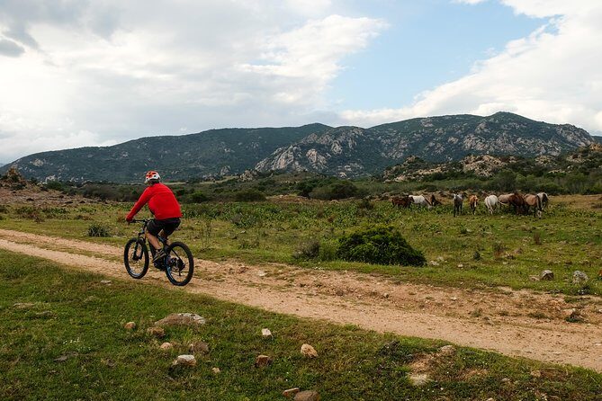 From the hills to Oasi Biderosa & Capo Comino with Electric Mountain Bikes - Stop 2: Spiaggia di Bèrchida and the lagoon-and-flamingo coast