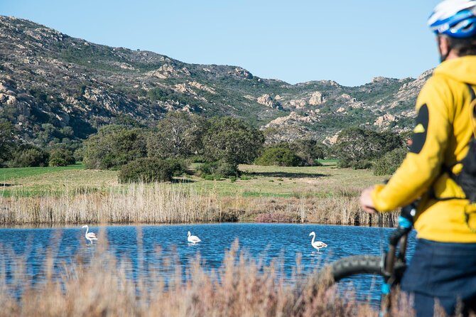 From the hills to Oasi Biderosa & Capo Comino with Electric Mountain Bikes - What you’re actually getting: included gear and support