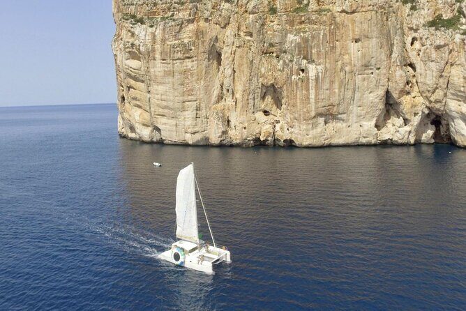 Full day Catamaran cruise in Porto Conte Natural Park - Small-group calm: what max 12 travelers changes