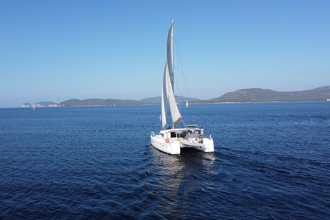 Full day catamaran tour in Alghero - Capo Caccia / Isola Piana: sailing from the harbor into protected water
