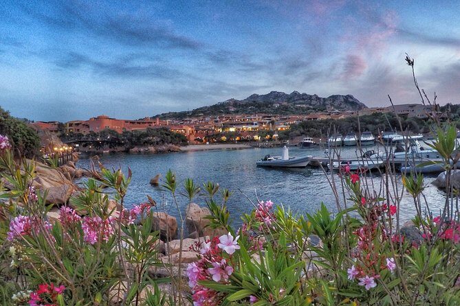 Gallura, Vermentino & Costa Smeralda - Vermentino and cellar culture: how the wine part really works