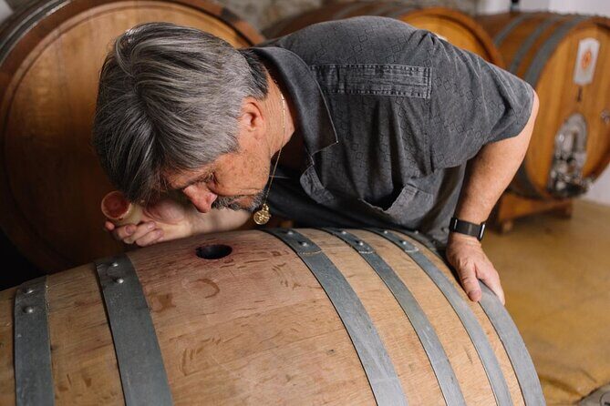 Gallura Winery with Wine Tasting in Olbia - What you’ll taste: Sardinian wines plus regional pairing