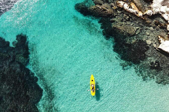 Golfo Aranci: Kayak tour with aperitif&dolphin sighting (max 9 Pax) - Key highlights that make this kayak tour work