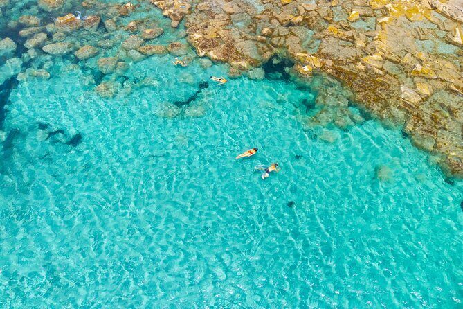 Guided day by boat in Carloforte with snorkelling and aperitif - Capo Sandalo, Lighthouse Views, and the Eleonora’s Falcon Note