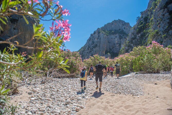Guided hike to Cala Luna, the pearl of the Gulf of Orosei - Codula di Luna: the canyon walk before the beach reveals itself