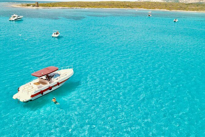 Half Day Excursion to Asinara (3h) - Parco nazionale dell’Asinara: former prison island turned protected park