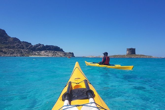 Half Day Sea Kayak Trip - Key Points You’ll Care About