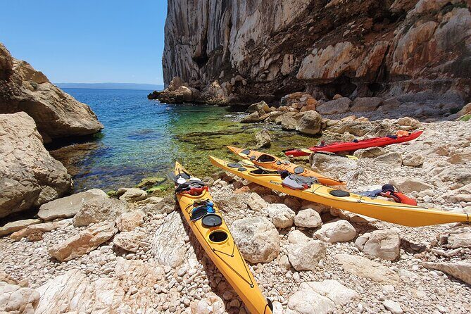 Half Day Sea Kayak Trip - Price and Value: What You’re Really Paying For