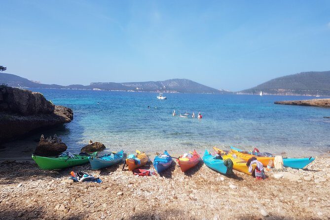 Half Day Sea Kayak Trip - Who Should Book This Sea Kayak Half Day (and Who Might Want Double-Kayak)
