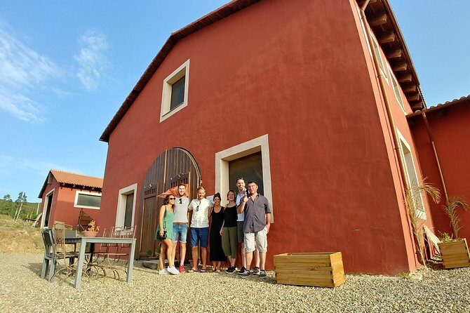 Half-Day Small-Group Wine Experience with Wine Expert from Cagliari - What You Taste: Varietals, Aperitif, and the Grappa Moment