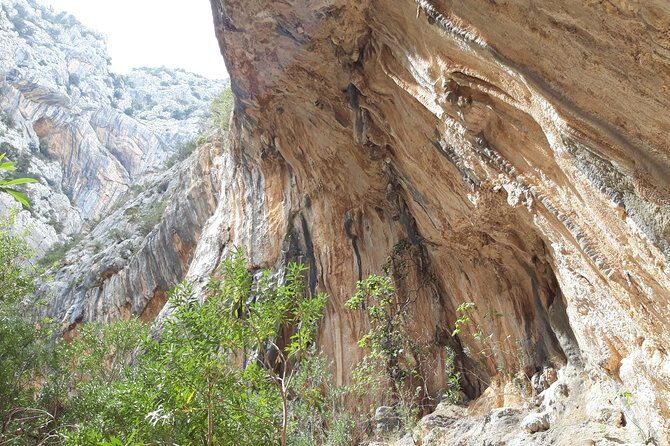 Hike to Gorropu Canyon - The canyon’s real story: Rio Flumineddu and the rare amphibian