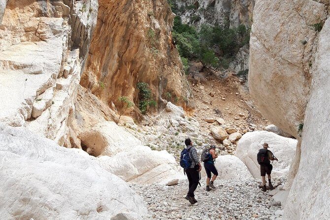 Hike to Gorropu Canyon - Who this tour is best for (and who should skip it)