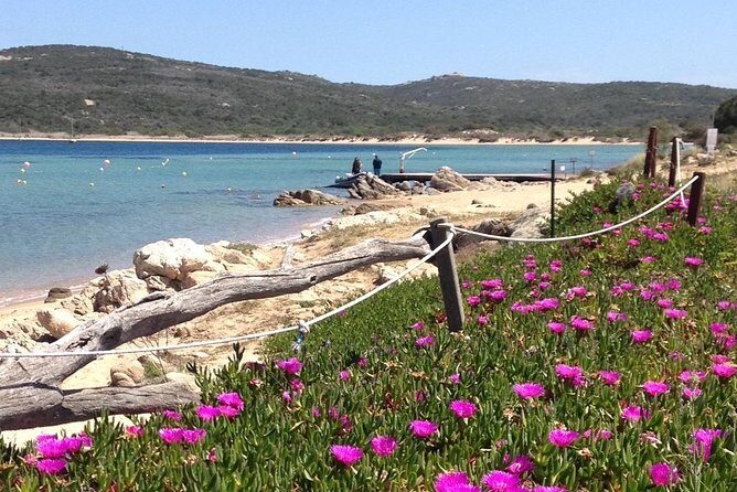 La Mad DA Lena: Afternoon snorkeling excursion from Porto Pollo. - Who this snorkeling outing is best for