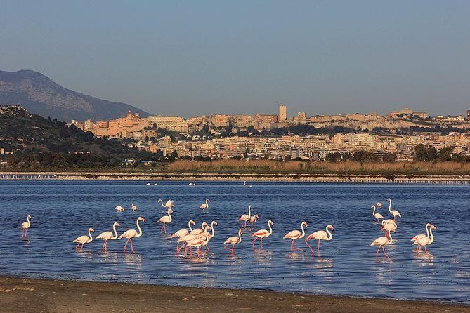 Nora Tour from Cagliari - Small-Group Comfort From Cagliari: Pickup, Transfers, and Pacing