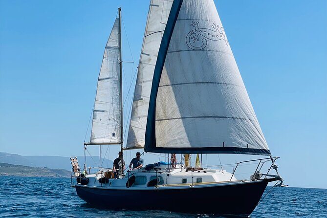 One day excursion on a sailing boat in the Gulf of Alghero - Key things to know before you go