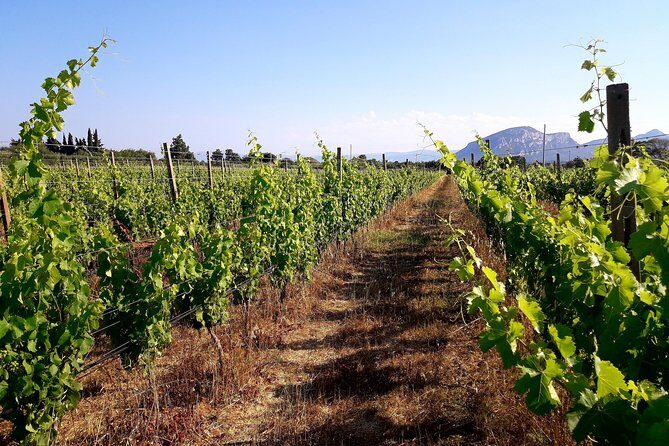 Orosei - 4x4 Tour & wine tasting - Stop 2: Statua Bronzea del Cristo for the 360° view
