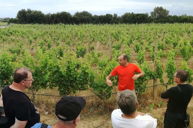 Orosei - 4x4 Tour & wine tasting - Osalla Nuraghe: ancient Sardinia in stone