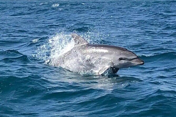 Sailing, swimming, snorkeling, & relaxing in Castelsardo, Sardinia - Why Castelsardo is a great place for a sail-and-snorkel day