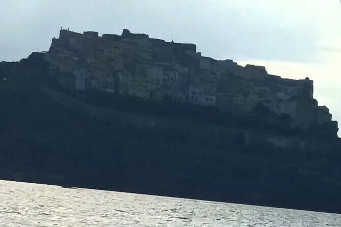 Sailing, swimming, snorkeling, & relaxing in Castelsardo, Sardinia - Snorkeling off the Castelsardo cliffs: marine life, not just sand