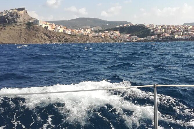 Sailing, swimming, snorkeling, & relaxing in Castelsardo, Sardinia - Your skipper: offshore experience and real chances to steer