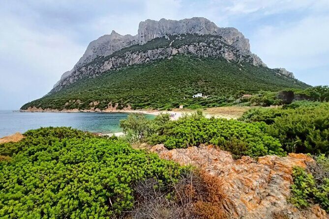 San Teodoro: Mini Tour of the Tavolara Archipelago - Key things to know before you go