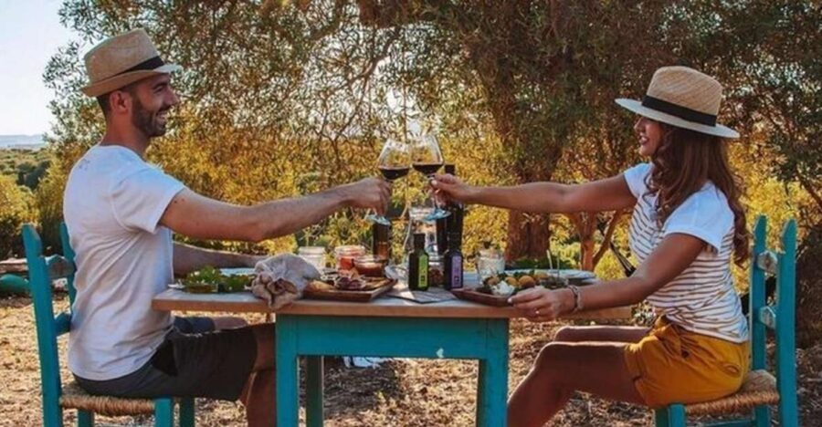Sardinian Olive Oil tasting & Picnic among the olive trees - Key Things You’ll Notice