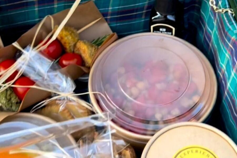 Sardinian Olive Oil tasting & Picnic among the olive trees - Sa Mola Oleificio Meeting Point: A Proper Start in Escolca