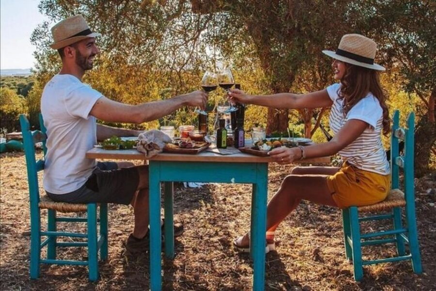 Sardinian Olive Oil tasting & Picnic among the olive trees - Walking Among Centenary Olive Trees: Taste the Source, Not the Screen