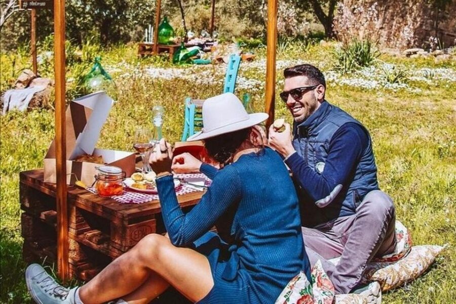 Sardinian Olive Oil tasting & Picnic among the olive trees - What’s Actually in Your Basket: Picnic Foods That Anchor the Tasting