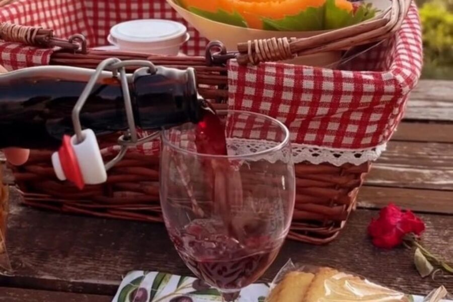 Sardinian Olive Oil tasting & Picnic among the olive trees - Price and Value: Is $81 for One Hour Fair?