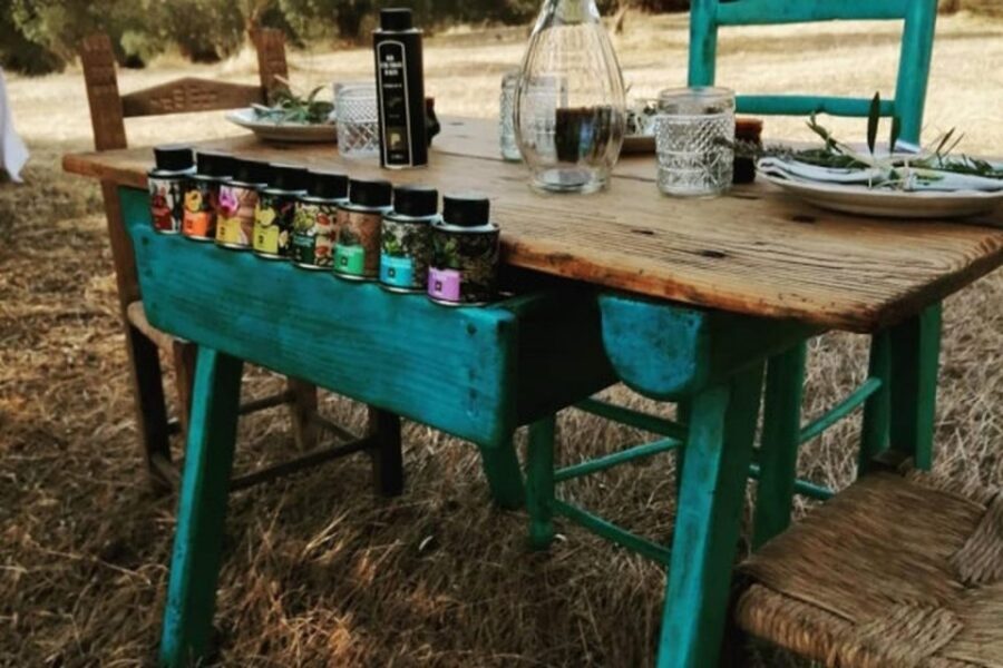 Sardinian Olive Oil tasting & Picnic among the olive trees - Small Group Size (Up to 8): The Difference You Feel During Tastings