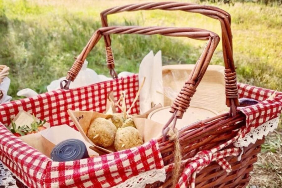 Sardinian Olive Oil tasting & Picnic among the olive trees - Booking Reality Check: Dates, Access, and What You Should Confirm