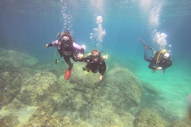 Scuba Diving in La Maddalena & Lavezzi Park for certified divers. - Key things to know before you go
