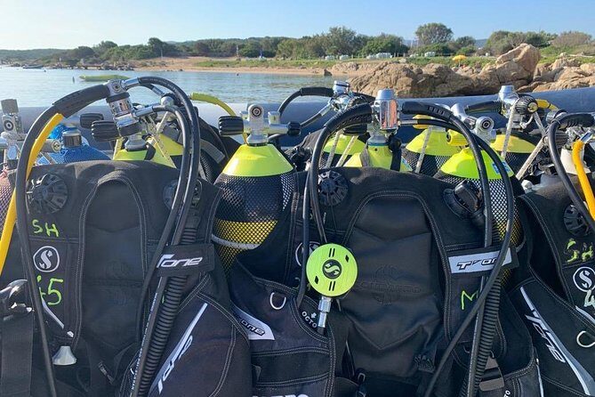 Scuba Diving in La Maddalena & Lavezzi Park for certified divers. - Underwater stops: what your schedule likely feels like