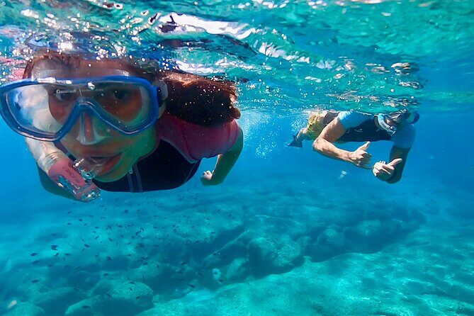 Snorkeling Experience to discover the dolphin inside you! - Key highlights to look for