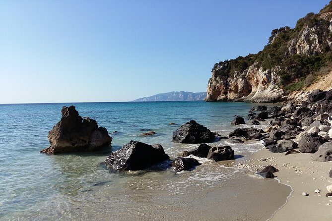 Snorkeling Experience to discover the dolphin inside you! - The small-group flow: from La Casa dei Pini to a character beach