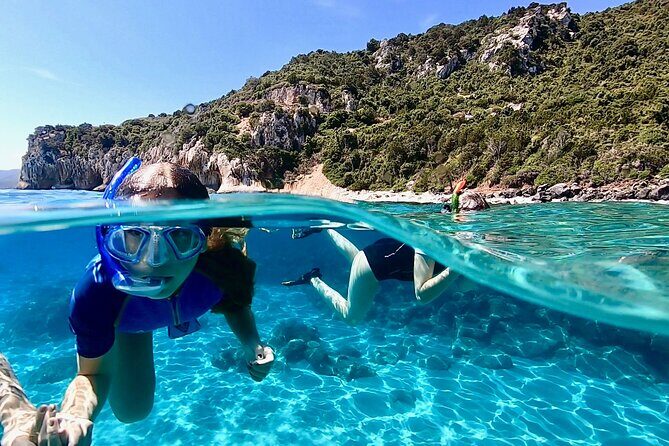 Snorkeling Experience to discover the dolphin inside you! - Gear included: wetsuit, mask, snorkel, fins (and why that’s a value win)