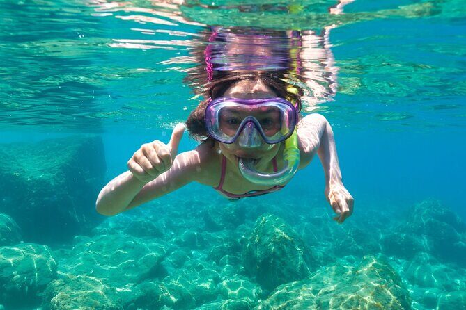 Tavolara and Molara Snorkeling with Guide - Key highlights worth your attention