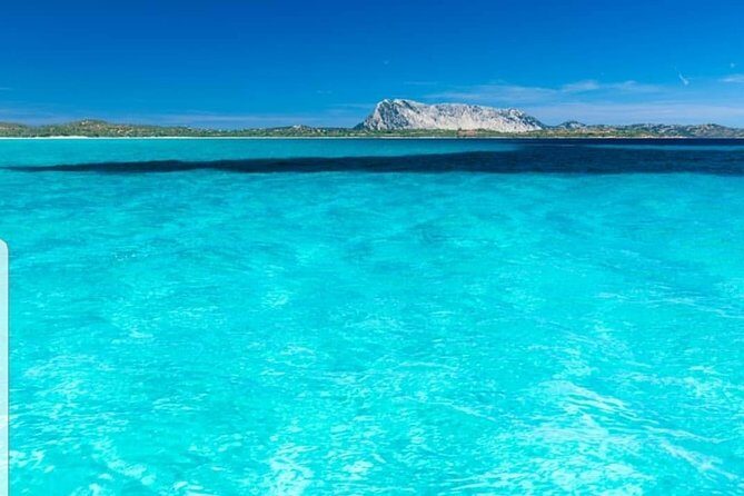 Tavolara Boat Tour and Snorkeling - Getting to MOYS Marina di Olbia without guesswork