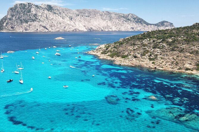 Tavolara excursion - Tavolara in 4 hours: why this boat day feels worth it