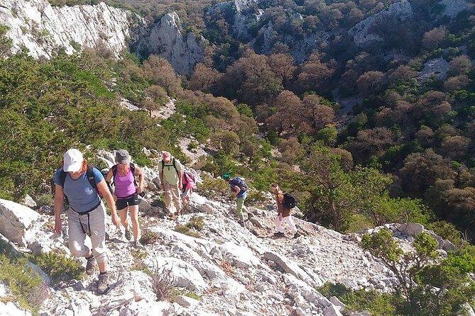 Tiscali mount guided hike - The narrow cleft and the valley payoff