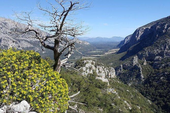 Tiscali mount guided hike - Who this hike is best for