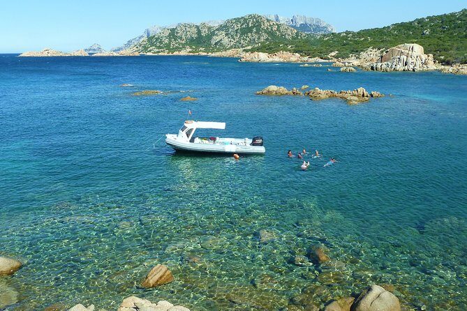 Tour to Figarolo Island with the possibility to observe dolphins - Capo Figari and Capo Ceraso: cliffs, coves, and a second swim chance