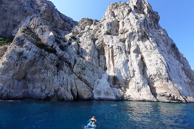 Tour to Figarolo Island with the possibility to observe dolphins - Guides on board: what their info adds to the day