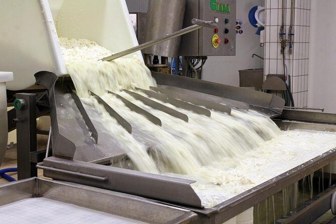 Visit to the dairy - Shop time: take the flavors home