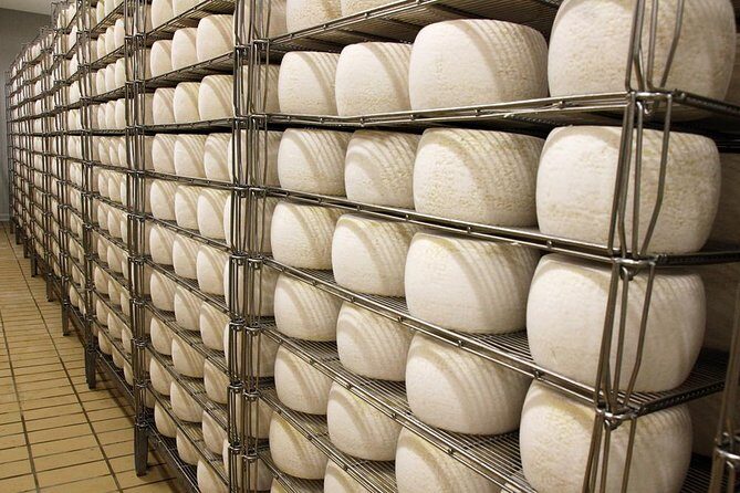 Visit to the dairy - Who this tour suits best (and who should skip it)