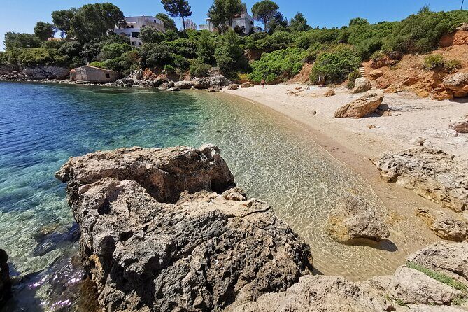 Wild Beaches & Snorkeling Tour - Why this Alghero snorkel day feels different from a typical beach tour